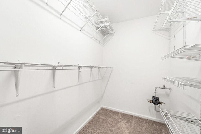 Building Photo - 509 Cascade Ct