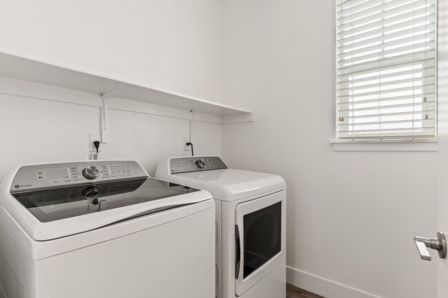 Building Photo - Sun-Filled Corner 4BR w/ Dual Yards & Panoramic Indoor-Outdoor Flow