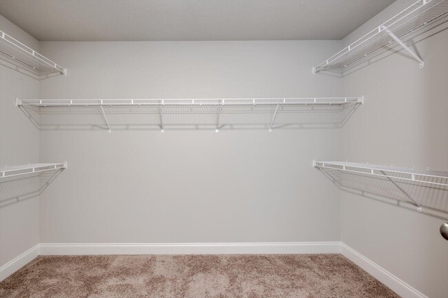 Building Photo - 2557 Traverse Trl