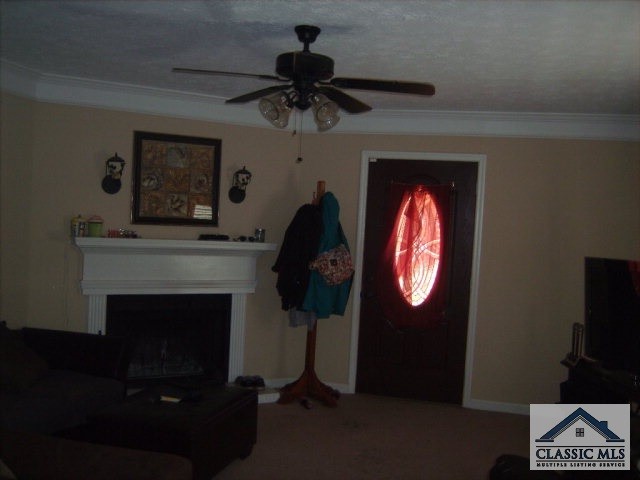 Building Photo - 421 Seagraves Dr