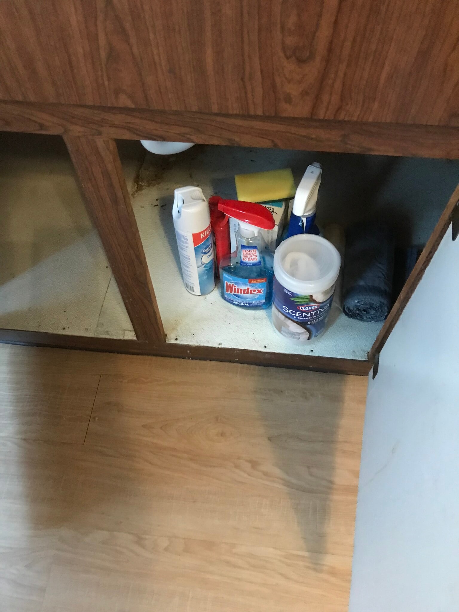 Building Photo - 2223 Murray Hill Rd