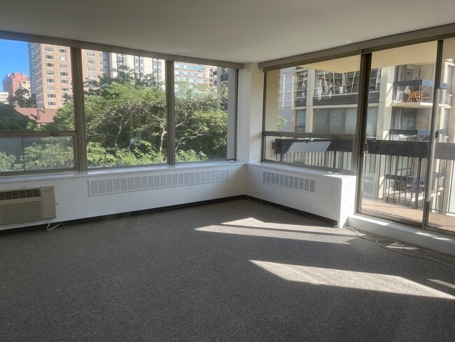 Building Photo - 1360 N Sandburg Terrace