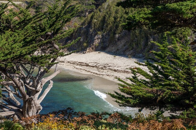 Building Photo - Bonnie's Point | Home Next to Point Lobos State Natural Reserve