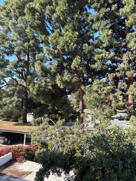 Building Photo - 23 N Ellsworth Ave