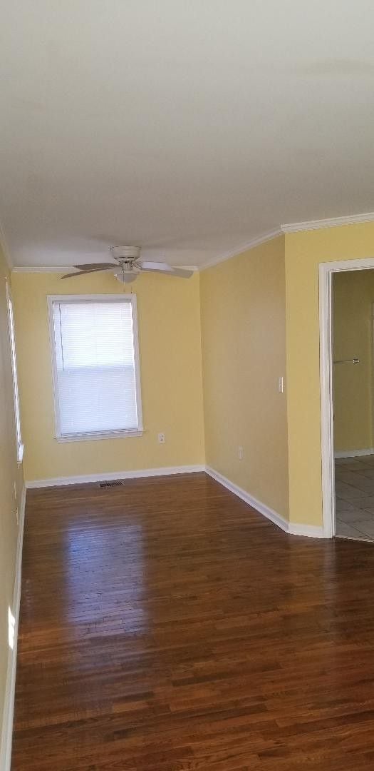 Building Photo - BIG AND ROOMIE! BIG AND ROOMIE!