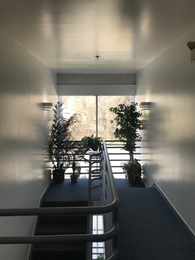 4th floor hallway - 5219 Le Parc Dr