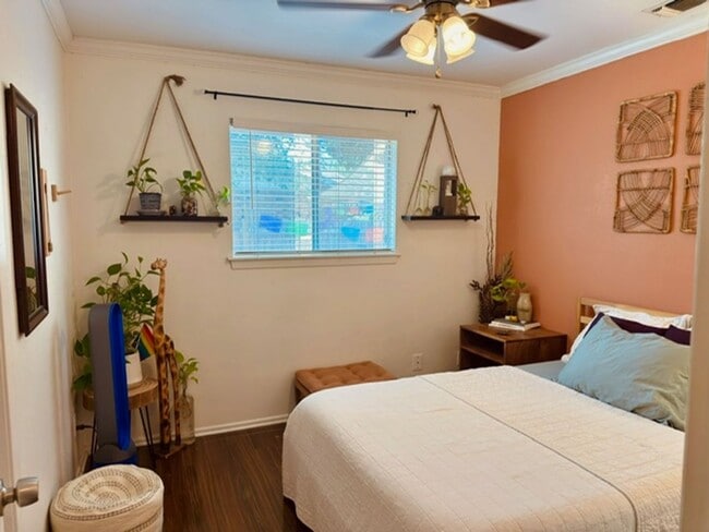 Building Photo - Coming soon....Super Cute Stylish Home w/ Modern Upgrades