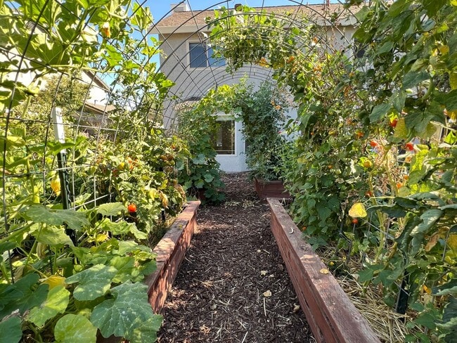 Building Photo - Beautiful Four Bedroom Home in Elk Grove