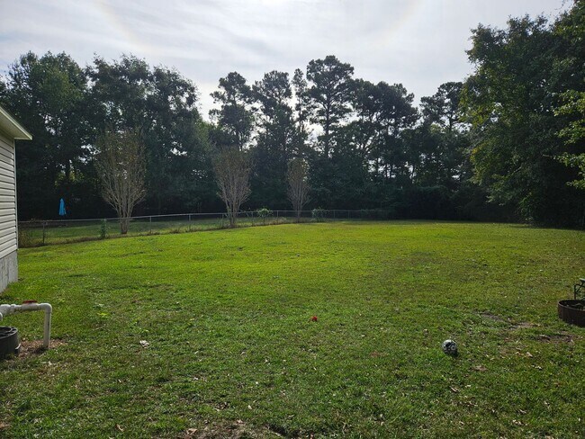 Building Photo - Beautiful unfurnished 3 bedroom 2 bath home in Sneads Ferry - Justice Farm community