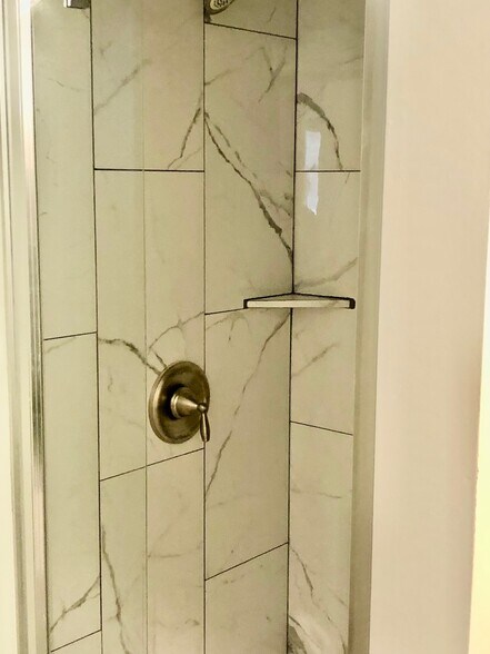 Master Shower - 11440 Odessa Ave