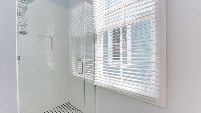 Building Photo - 3 Bedroom 3 Bath Apartment (October) Downt...