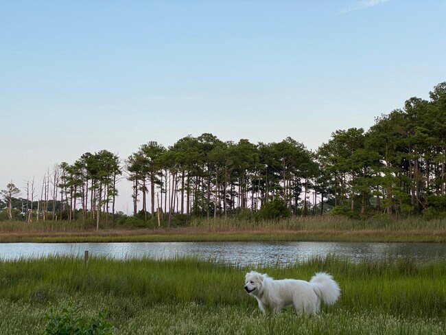 Building Photo - 462 Wind Mill Point Rd