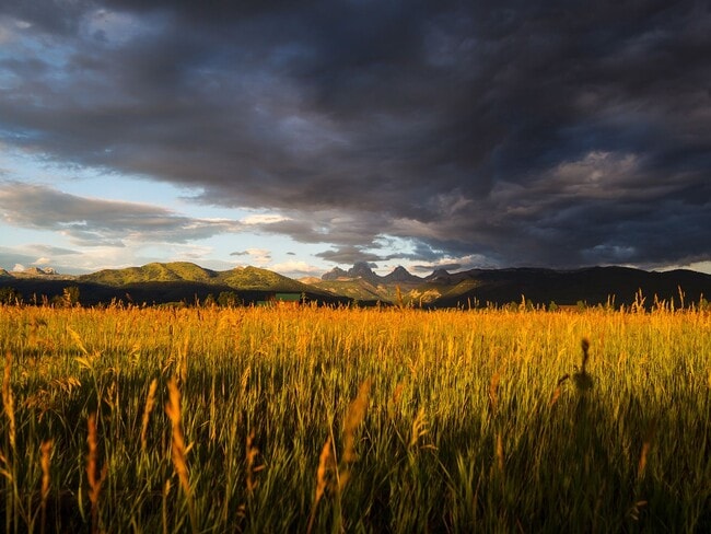 Building Photo - Modern 3-Bedroom Townhome in the Heart of ...