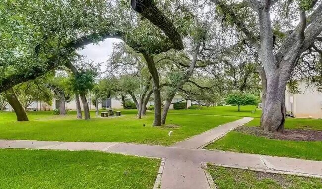 Building Photo - 5326 Balcones Dr
