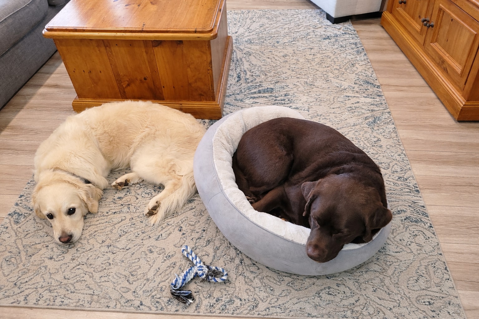 Building Photo - 725 3rd Ave