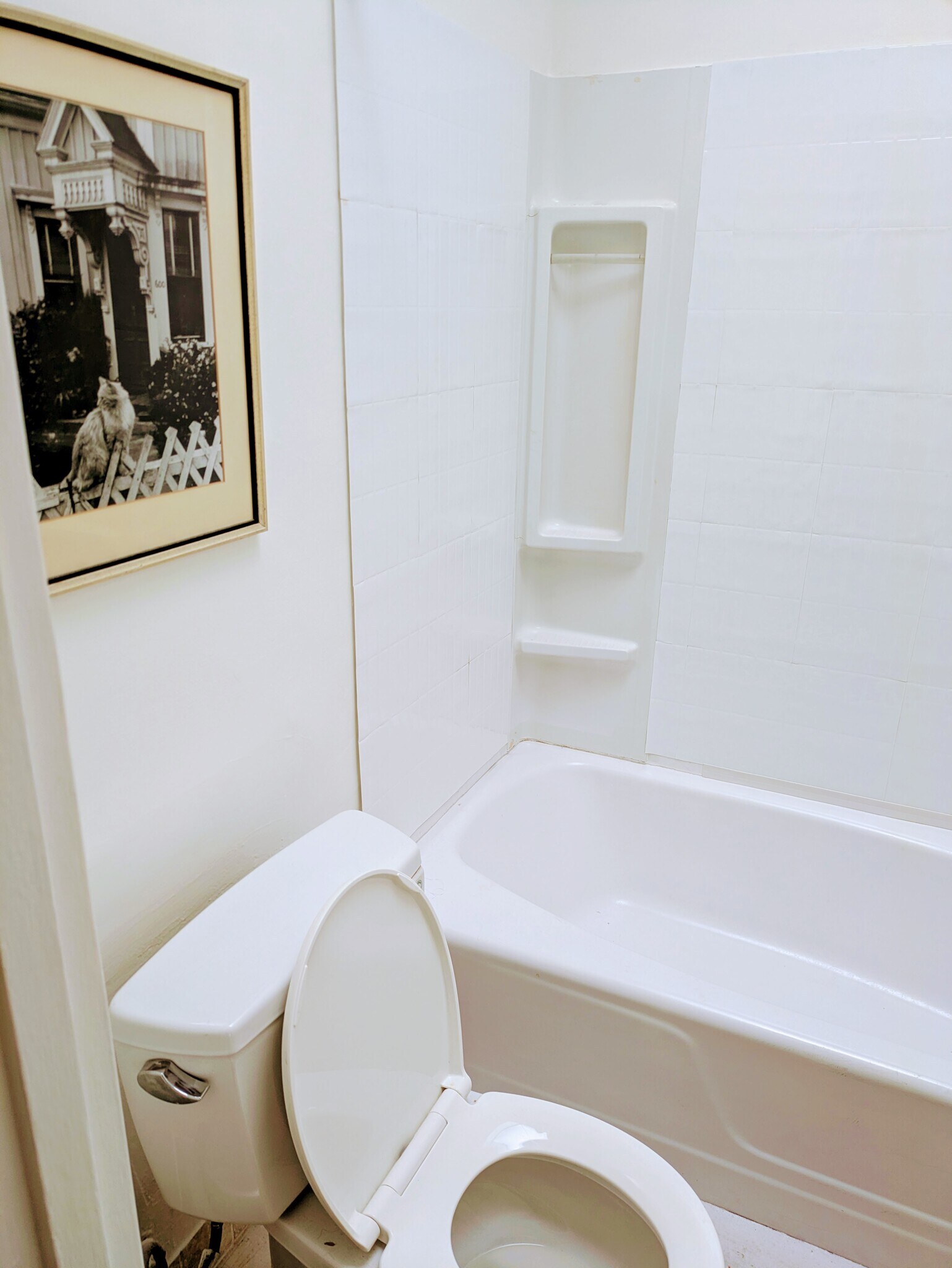 Building Photo - 708 Cornell Ave