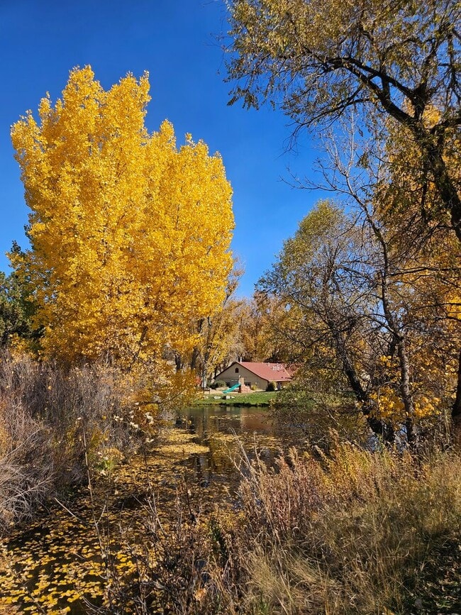 Building Photo - Available NOW!! SFH in Valley Traditions Littleton CO!