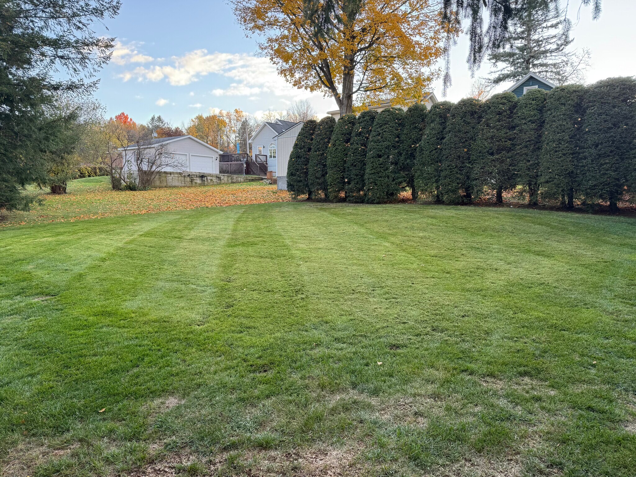 Building Photo - 54 Oxford Rd
