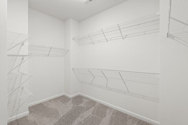 Building Photo - 5807 Clear Creek Ln