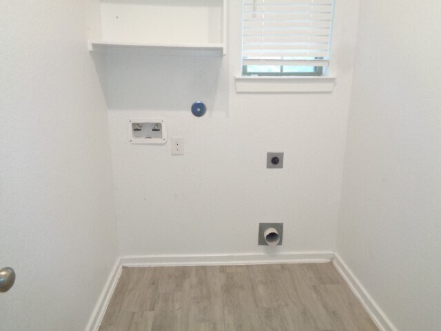 Building Photo - 27029 Sofia Forest Dr