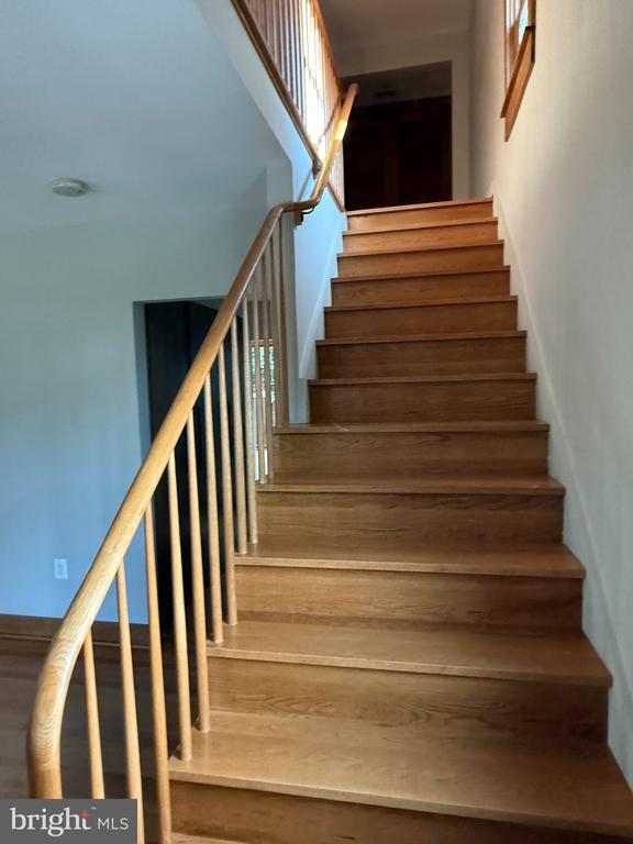 Building Photo - 807 Richmond Ave