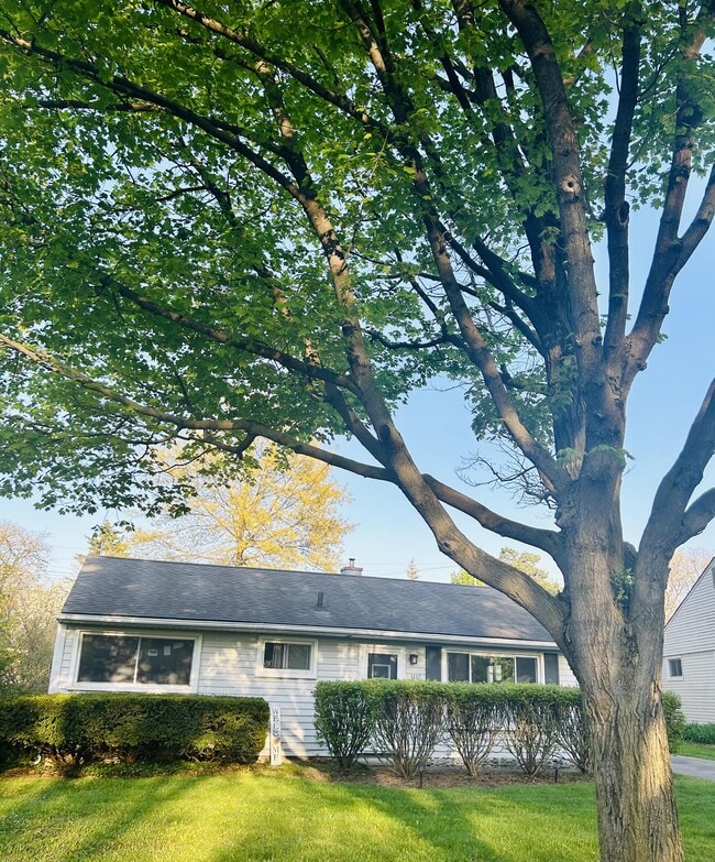 Building Photo - 1117 Kay Pkwy