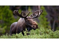 Building Photo - 3 Bed 2 Bathroom for Rent