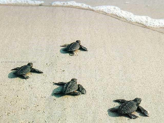 Building Photo - 1815 Mooringline Dr