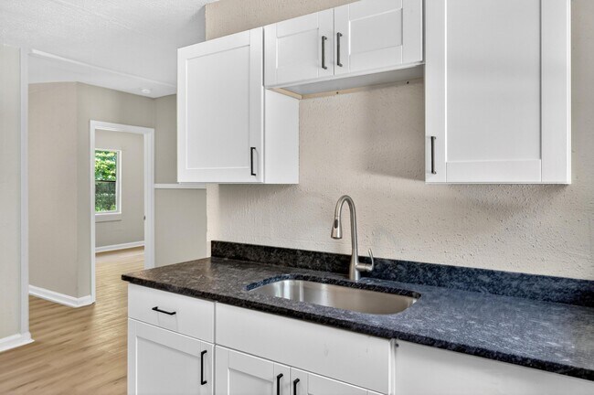 Building Photo - 437 Carver Ln