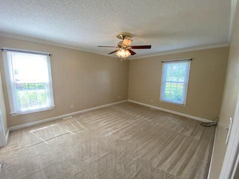 Building Photo - 4251 Frog Level Rd