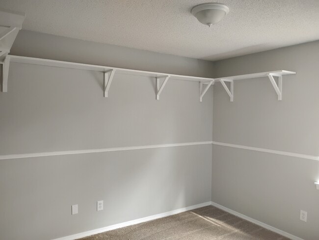 Building Photo - 5564 Springer Ct