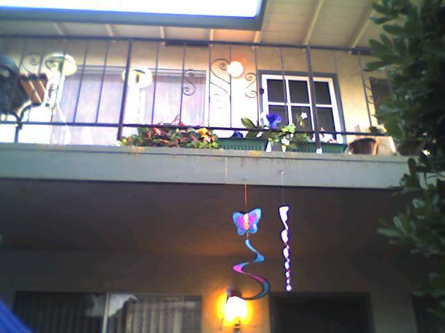 Private Deck - 1123 Starbird Cir