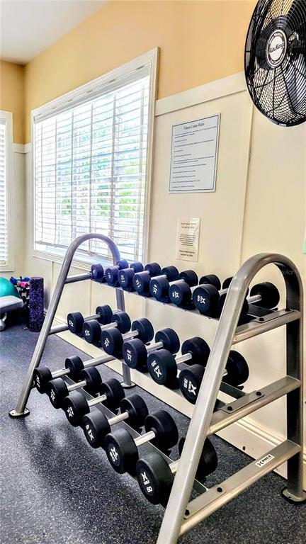 Building Photo - 5687 Key Largo Ct