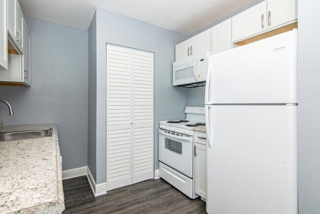 Building Photo - Newly Renovated and Remodeled - 2 Bedroom 1 Bath for Lease in Brandon, FL