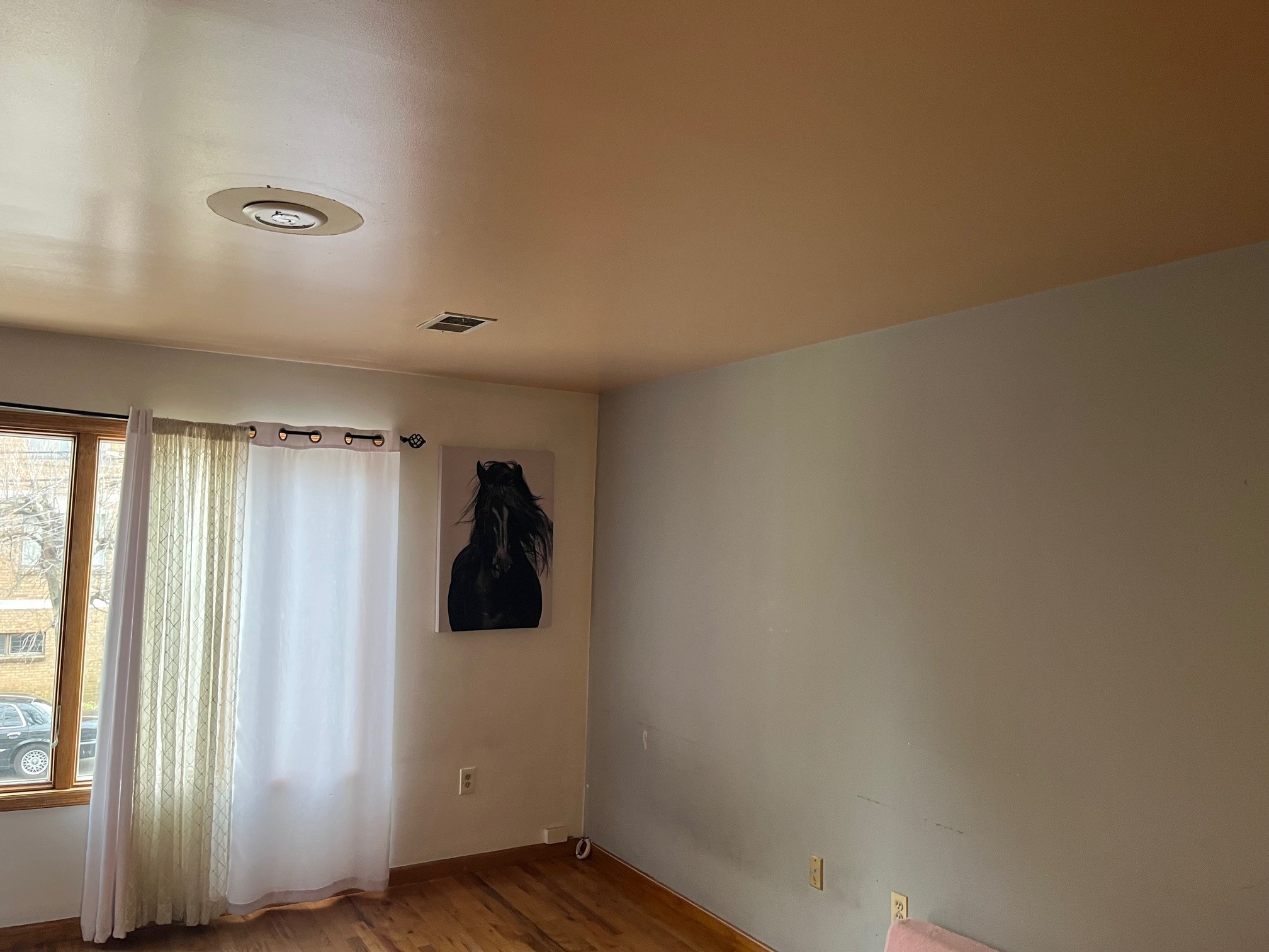 Building Photo - 64 Rome St