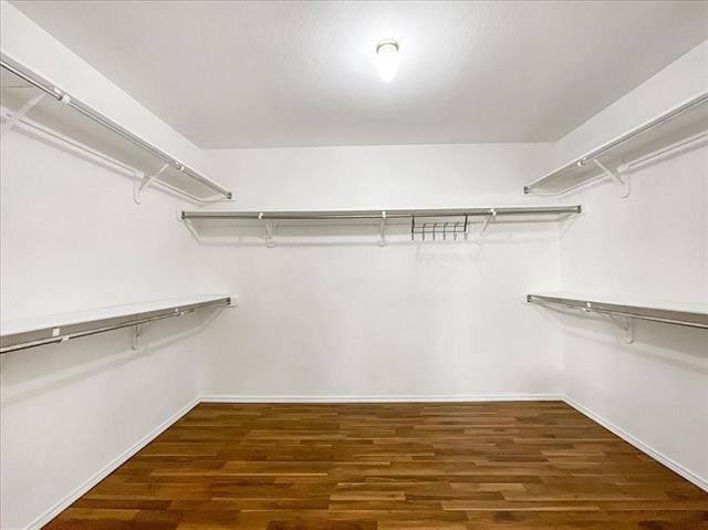 Building Photo - 2328 Heads And Tails Ln