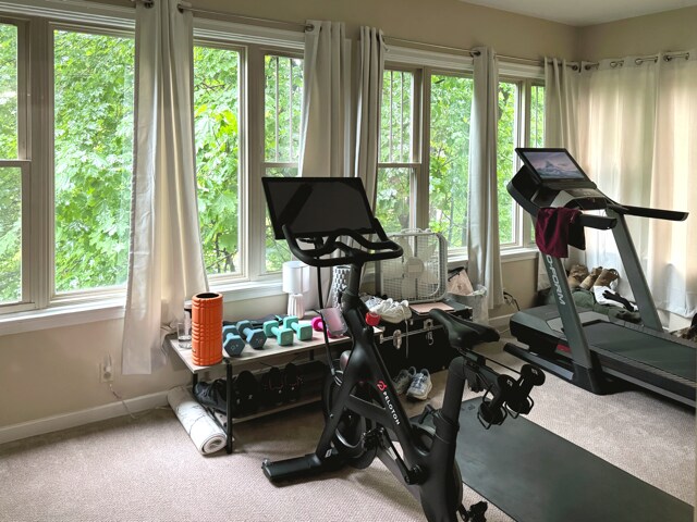 bedroom/sunroom 2 - 638 Taylor Ave