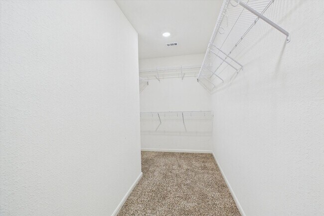 Building Photo - Stunning 4 bedrooms 2 baths single-story h...