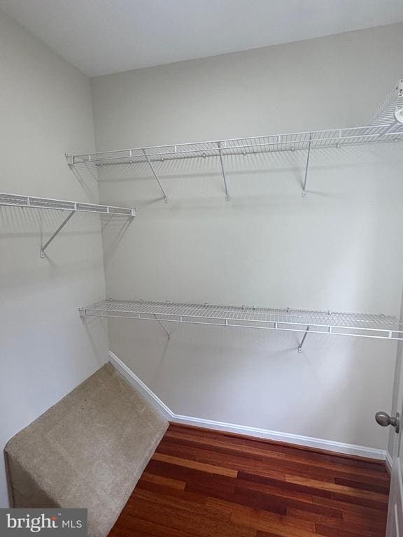 Building Photo - 537 Ensemble Ct