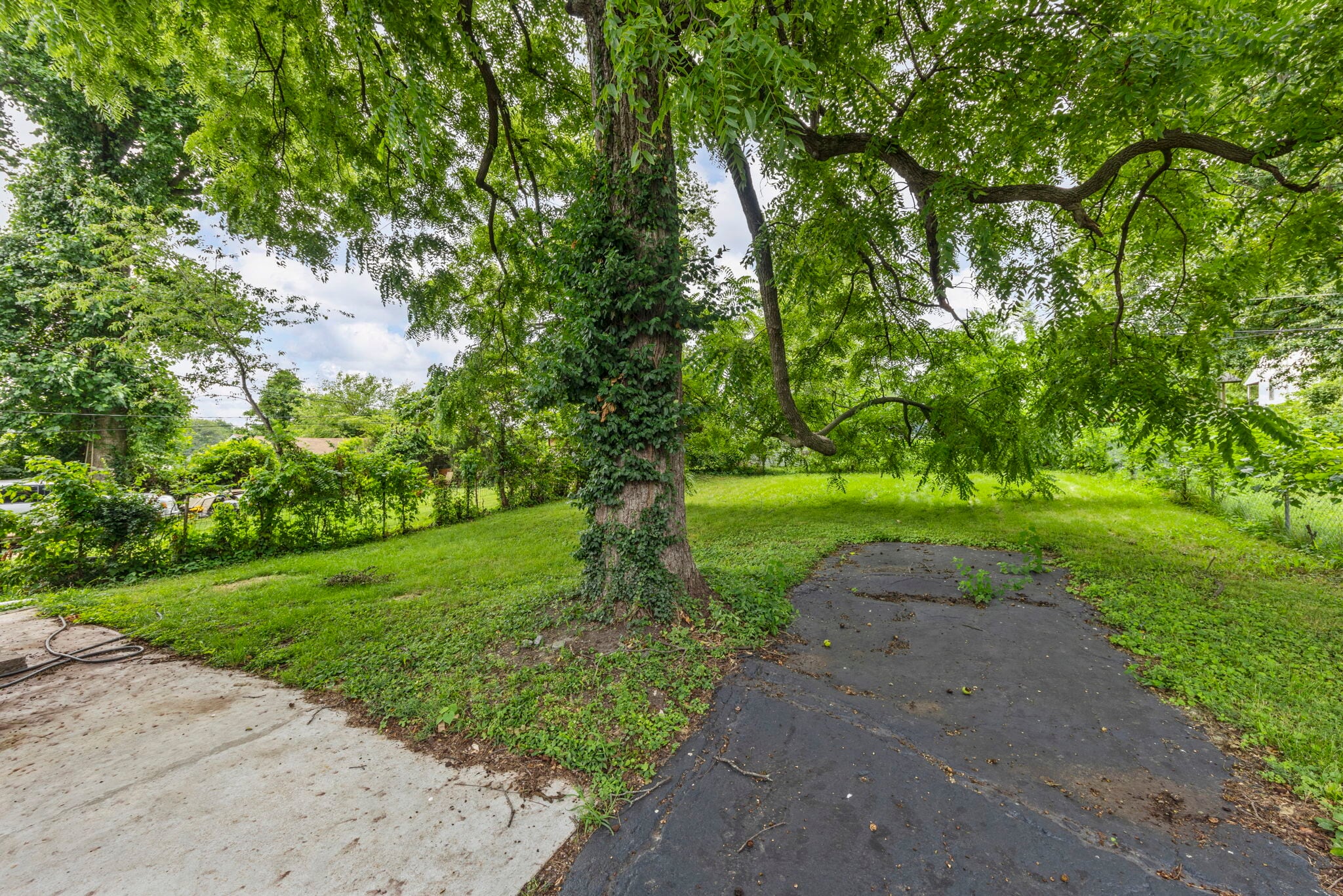 Large backyard - 9408 Echo Ln