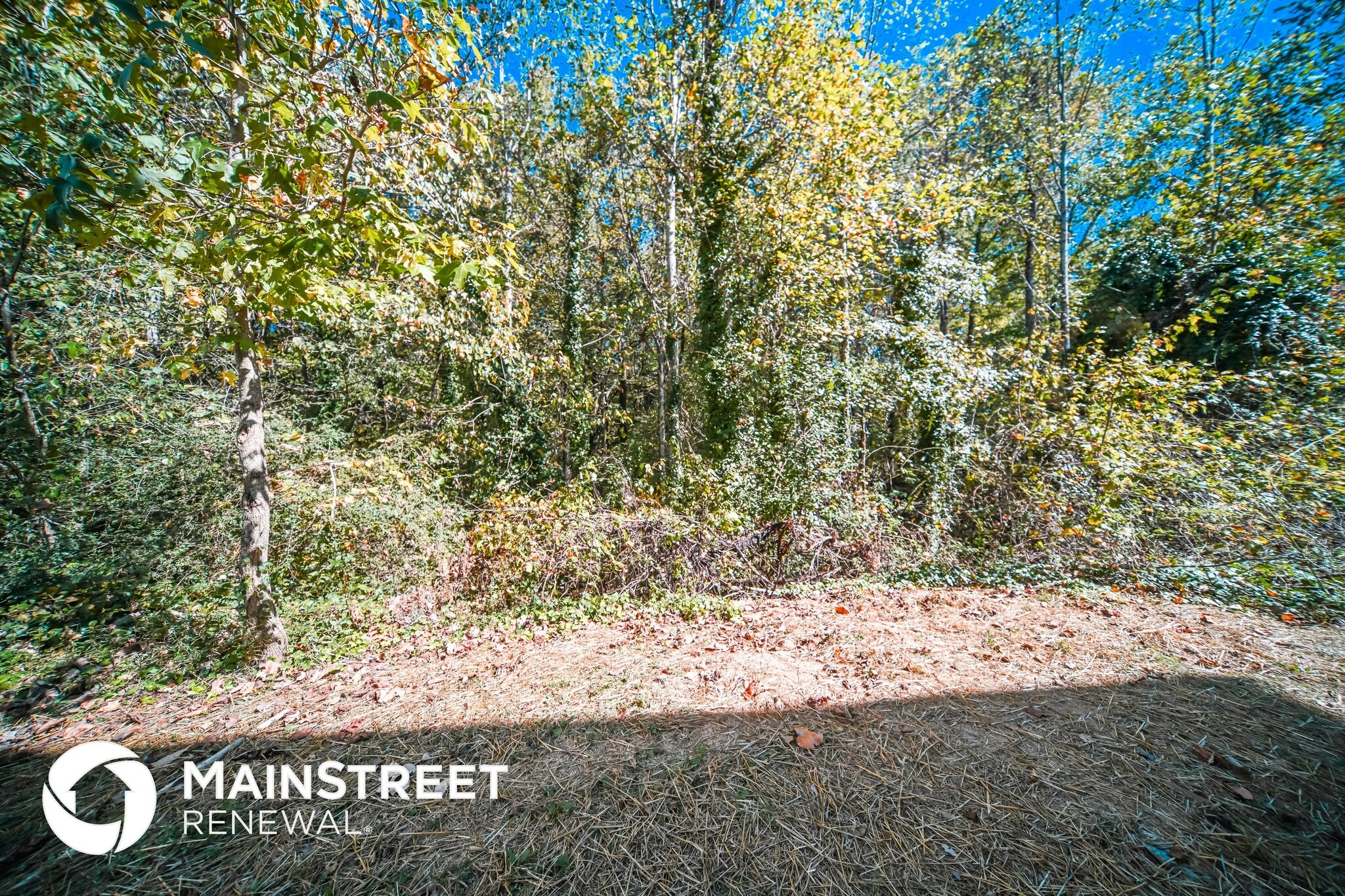 Building Photo - 6793 Merrywood Dr
