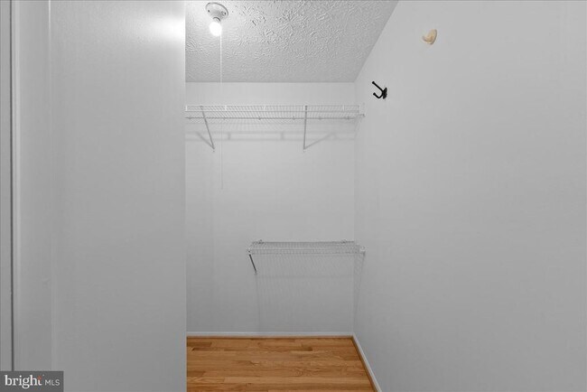 Building Photo - 11537 Ivy Bush Ct