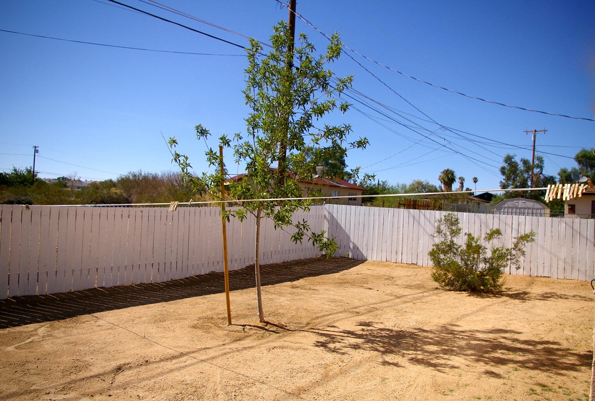 Building Photo - 6186 Chia Ave