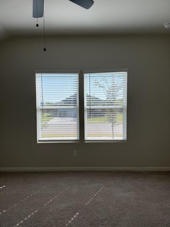 Building Photo - 529 Jameson