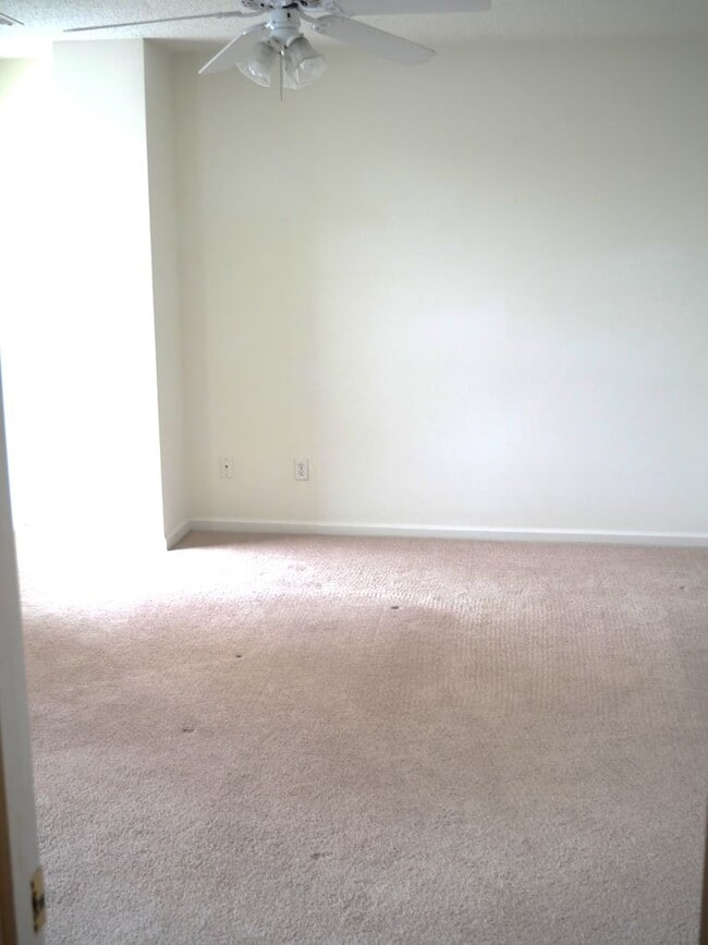 Building Photo - 113 Amelia Ct