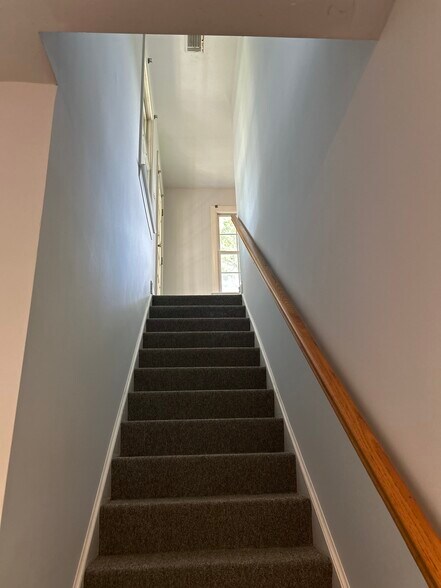 Stairs with new carpet and new painted interior - 12 Bermuda Pointe Cir