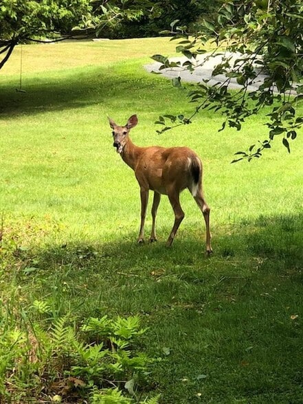 Building Photo - 38 Berkley, B