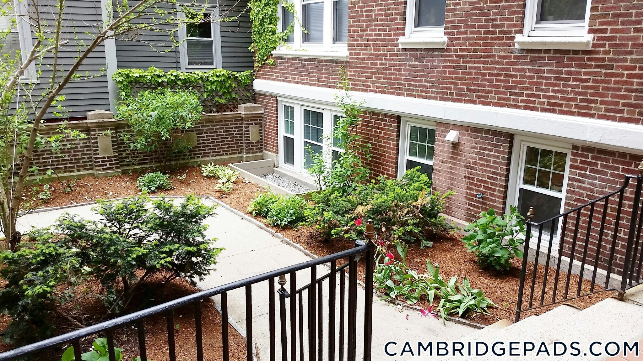 Building Photo - 19 Wendell St