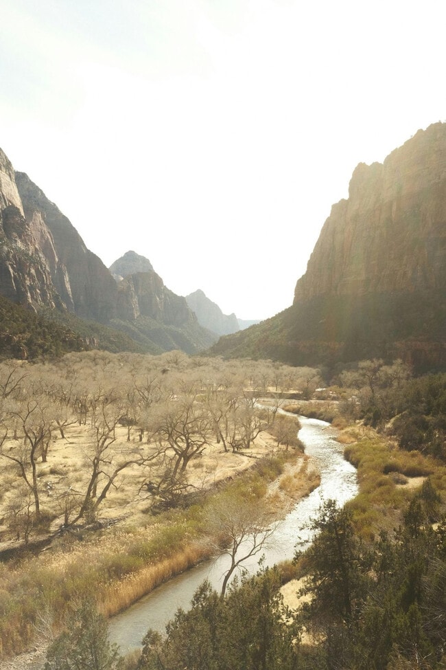 Building Photo - 523 W Vance Dr