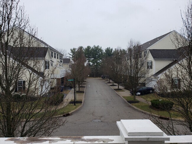 Building Photo - 1059 Bluffway Dr